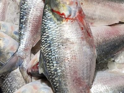 12c1e5ee-28a8-4894-8aca-0d4c38659a40