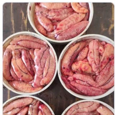 5f020c6a-573e-4fc9-94f3-967f2392c060