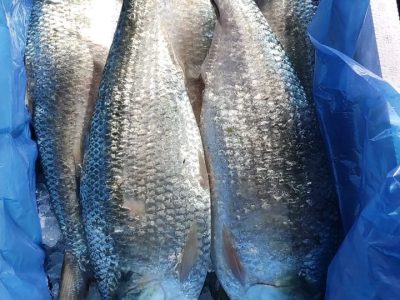 7b07c5c5-f798-4ec7-82f4-948ea5f6393b