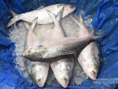 ৫ পিস (৫ কেজি)